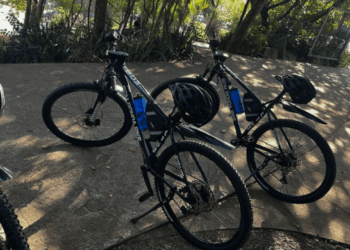 GCM prende homem por furto de celulares na região do Bosque Maia