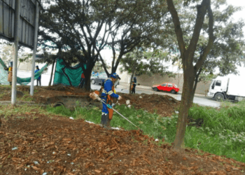 Cidade Satélite Cumbica recebe mutirão de roçagem da Prefeitura