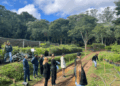 Prefeituras de Guarulhos e de São Paulo realizam intercâmbio sobre técnicas de propagação de plantas