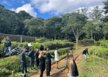 Prefeituras de Guarulhos e de São Paulo realizam intercâmbio sobre técnicas de propagação de plantas
