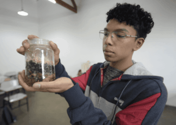 Visitantes do Zoológico de Guarulhos aprendem a montar miniterrários