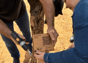 Parceria entre Prefeitura e USP proporciona placas de identificação em árvores do Bosque Maia