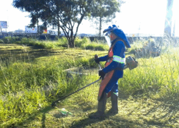 Prefeitura inicia mutirão de roçagem no Trevo de Bonsucesso