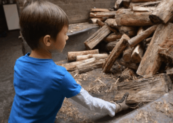 Guarulhos realizará o Seminário de Combate ao Trabalho Infantil na terça-feira