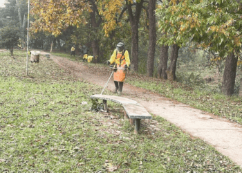 Prefeitura promove mutirão de roçagem em pontos da região de Cumbica