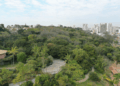 Virada Ambiental 2025 terá atrações como chás naturais e mel de abelhas nativas sem ferrão