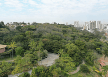 Virada Ambiental 2025 terá atrações como chás naturais e mel de abelhas nativas sem ferrão