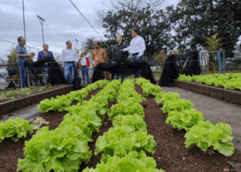 Prefeitura distribui mais de 1.000 mudas de árvores nativas da Mata Atlântica em evento empresarial