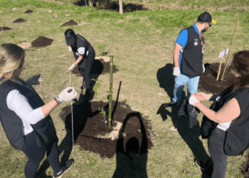 Escola da Prefeitura no Jardim Acácio recebe o plantio de 80 árvores nativas da Mata Atlântica