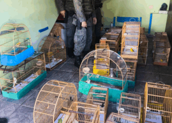 JUSTIÇA SUSPENDE OBRAS PARTICULARES EM PARQUES POR SUPOSTO ESQUEMA COM ESCRITÓRIO DA FAMÍLIA DO EX-SECRETÁRIO TREVISAN