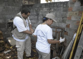 Guarulhos atua contra a dengue em 48 bairros esta semana
