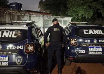 GCM apreende quase 400 porções de drogas com apoio de cão farejador na Vila Carmela I
