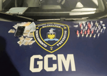 GCM prende traficante e apreende 379 porções de drogas em duas ocorrências