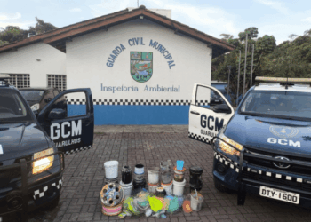 GCM combate o uso de cerol e linhas cortantes em Guarulhos durante o fim de semana