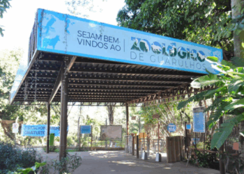 Zoológico de Guarulhos realiza banho de floresta para conexão com a natureza