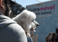 Prefeitura leva castração gratuita de cães e gatos à Vila Any e ao Jardim Líbano