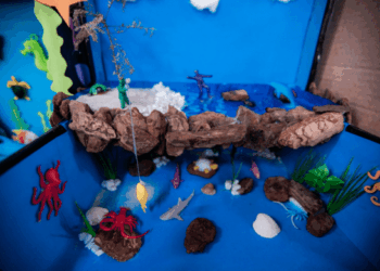 Ambiente marinho é tema de projeto e exposição na EPG Evanira Vieira Romão
