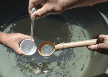 Prefeitura realiza ações contra a dengue em 35 bairros de Guarulhos