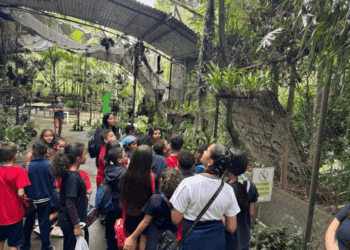 Agenda ambiental de agosto em Guarulhos inclui abelhas, orquídeas, arborização e práticas sustentáveis