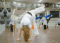 Guarulhos abre vagas para aulas gratuitas de capoeira no CEU São Domingos para todas as idades
