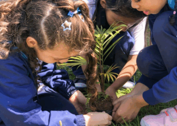 Plantio de mudas abre as ações do projeto Primavera no CEU Presidente Dutra