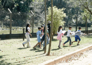 Trilha das Árvores proporciona diversão e aprendizado às crianças no Zoológico de Guarulhos
