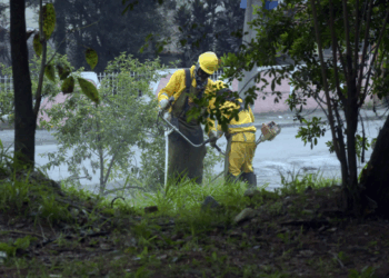 Prefeitura atende a mais de 18 mil solicitações de zeladorias
