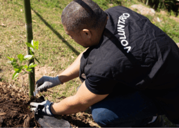 Jardim Acácio recebe plantio de 100 mudas de árvores nativas