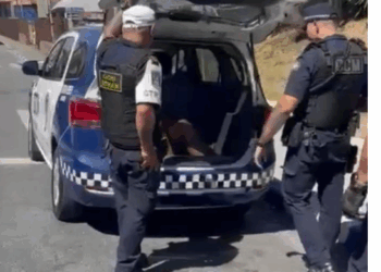 GCM de Guarulhos impede furto de cabo de energia e prende criminoso em flagrante