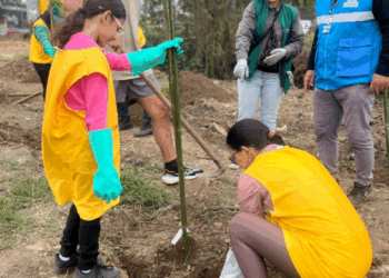 Prefeitura planta 100 árvores nativas da Mata Atlântica no Bonsucesso