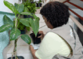 Agentes combatem mosquito Aedes aegypti em 47 bairros na última semana