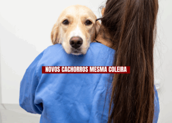 CRESCEM SUSPEITAS DE FAVORECIMENTO NA LICITAÇÃO DA PREFEITURA DE GUARULHOS PARA HOSPITAIS VETERINÁRIOS PÚBLICOS