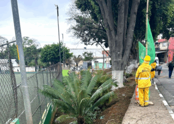Prefeitura promove revitalização de praça no Jardim Palmira