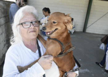 CastraPet Móvel atende região da Ponte Grande na próxima semana