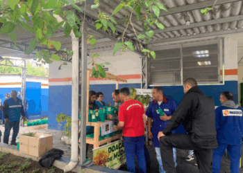 Prefeitura distribui mais de 4.400 mudas de árvores no mês de setembro