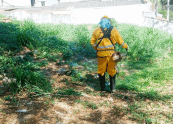 Prefeitura desenvolve ações de zeladoria em diversos pontos da cidade
