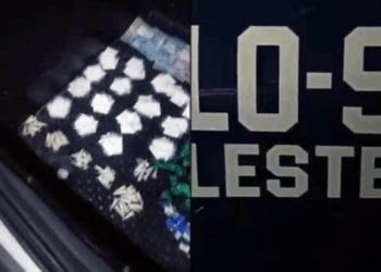 GCM prende traficante com 700 gramas de drogas no Jardim Monte Alegre