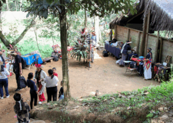 Reserva Indígena Multiétnica em Guarulhos celebra aniversário com atividades abertas ao público