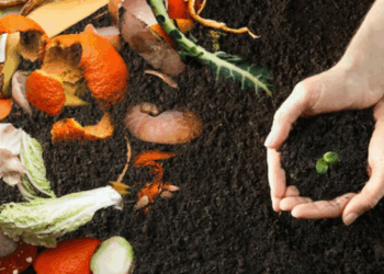 Adamastor recebe palestra sobre o papel da educação ambiental no futuro dos negócios