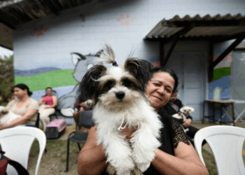 Castra Pet Móvel atende tutores da região do Bonsucesso nesta semana