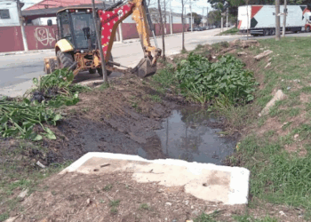 Prefeitura promove desobstrução de vala de drenagem ao lado da avenida Projecta