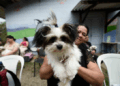 Castra Pet Móvel atende região do Parque Jurema na próxima semana 