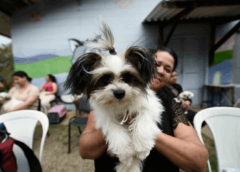 Castra Pet Móvel atende região do Parque Jurema na próxima semana 