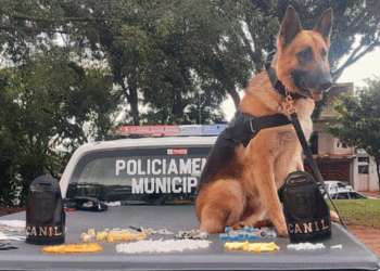 GCM apreende mais de 5 kg de drogas e prende quatro traficantes em diferentes operações