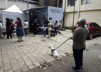 CastraPet atende cães e gatos no Bonsucesso até quarta-feira