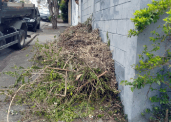 Prefeitura implementa ações de zeladoria no Cocaia, Parque Continental e Picanço