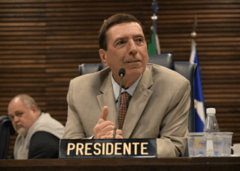 Câmara aprova projeto de Martello que institui o Plano Municipal de Arborização Urbana