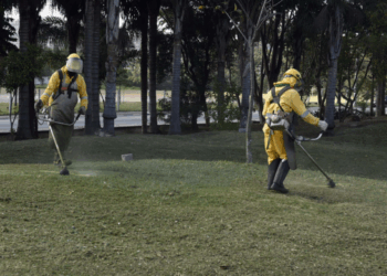 Prefeitura de Guarulhos empreende toda energia no trabalho de zeladoria ao longo do ano