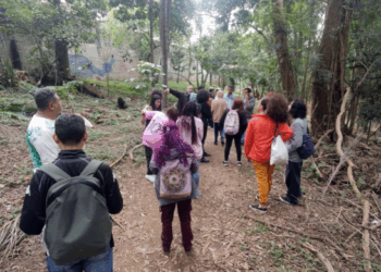 Bosque Maia e TEDxGuarulhos realizam atividades com participação gratuita nesta quinta-feira
