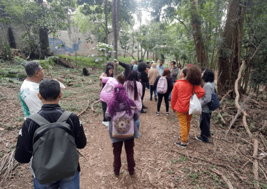 Bosque Maia e TEDxGuarulhos realizam atividades com participação gratuita nesta quinta-feira